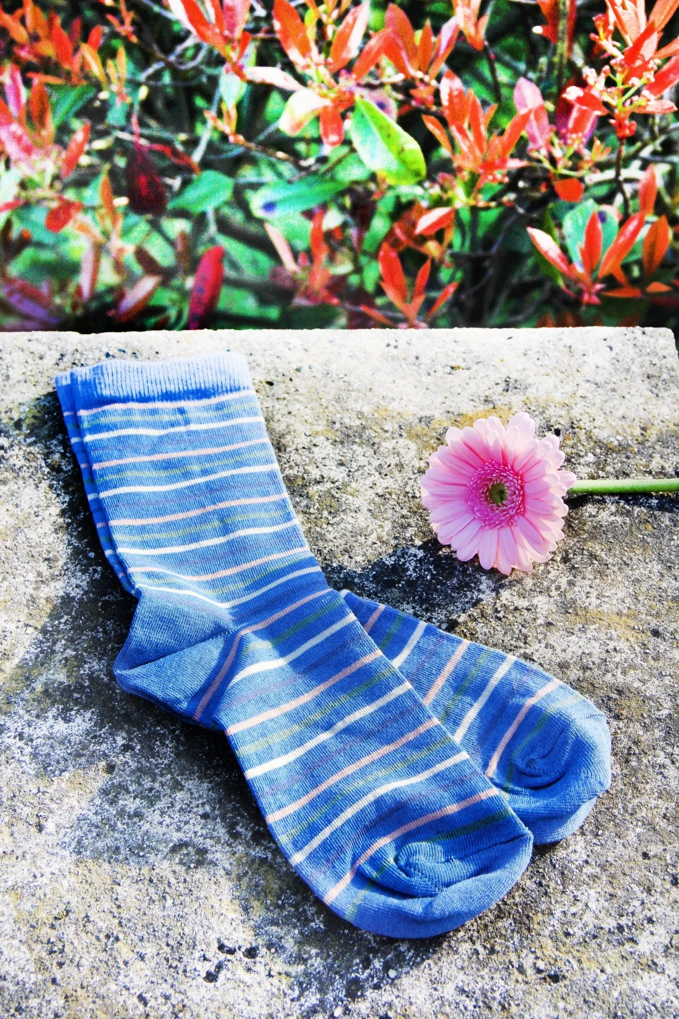 Blue Striped Socks