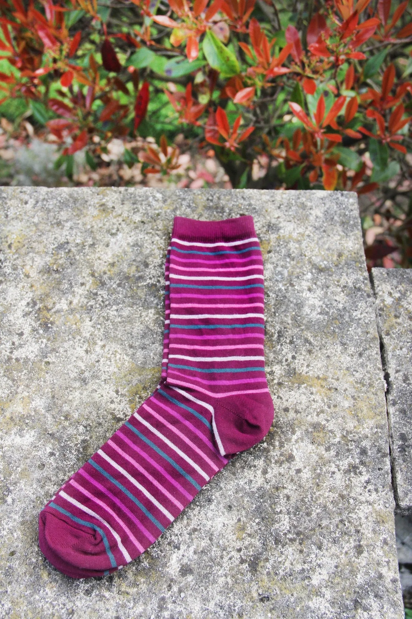 Burgundy Colour Stripe Socks