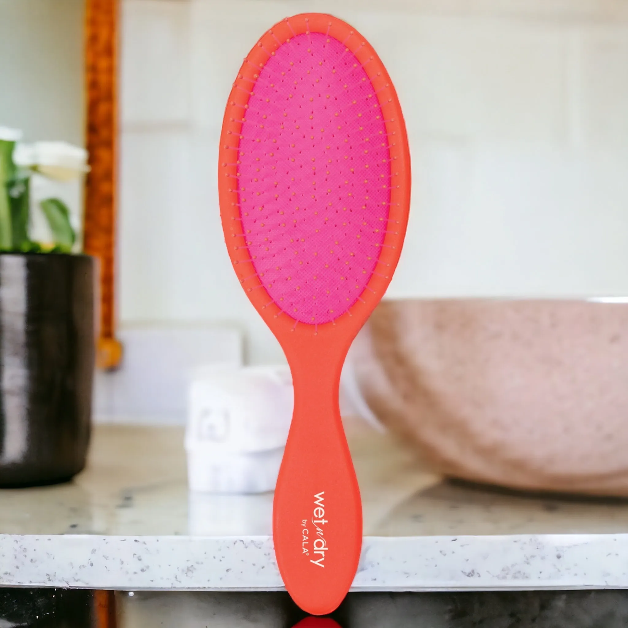 Wet N Dry Hair Brush